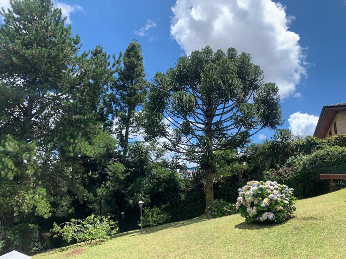 Linda Casa! Aconchegante E Com Otima Localizacao Villa Campos do Jordão Eksteriør billede