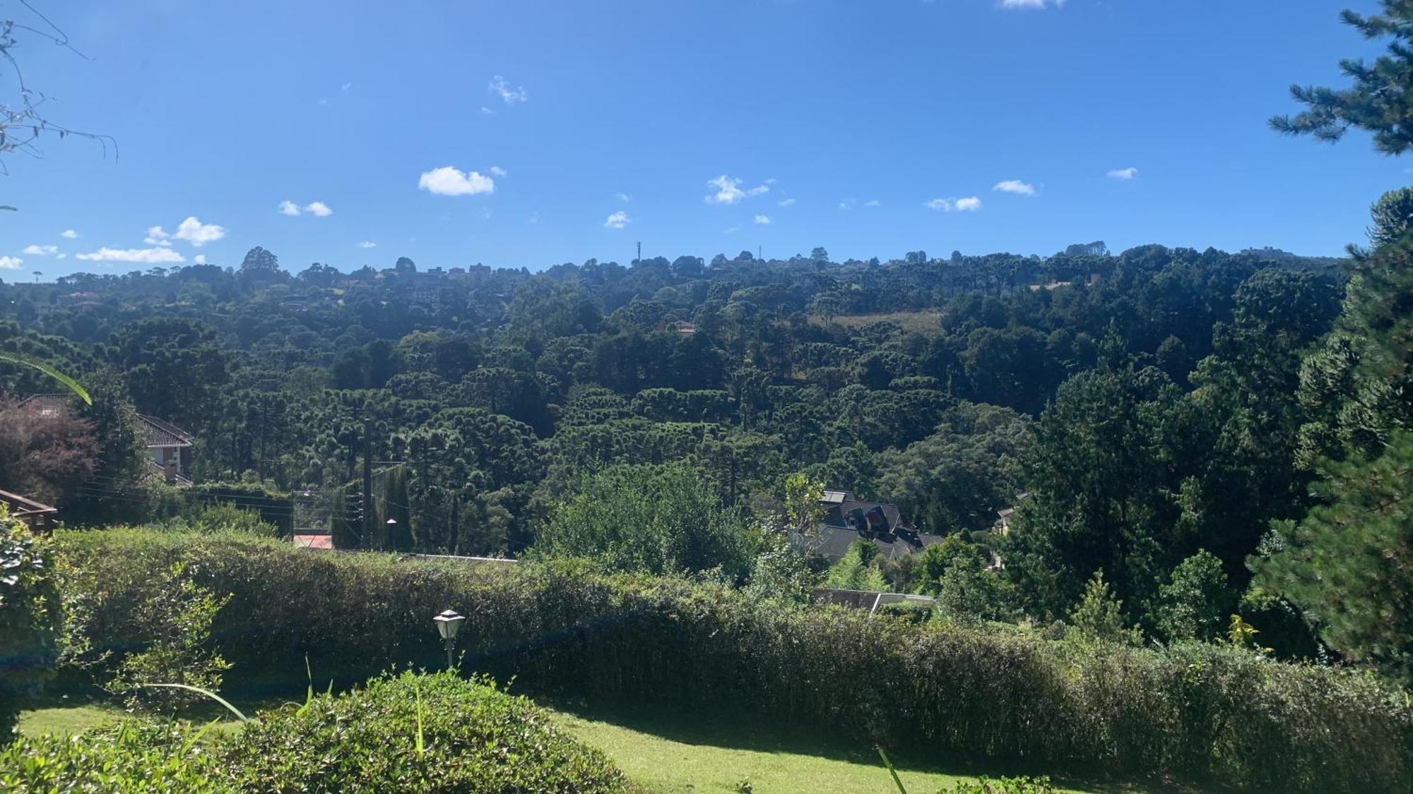 Linda Casa! Aconchegante E Com Otima Localizacao Villa Campos do Jordão Eksteriør billede