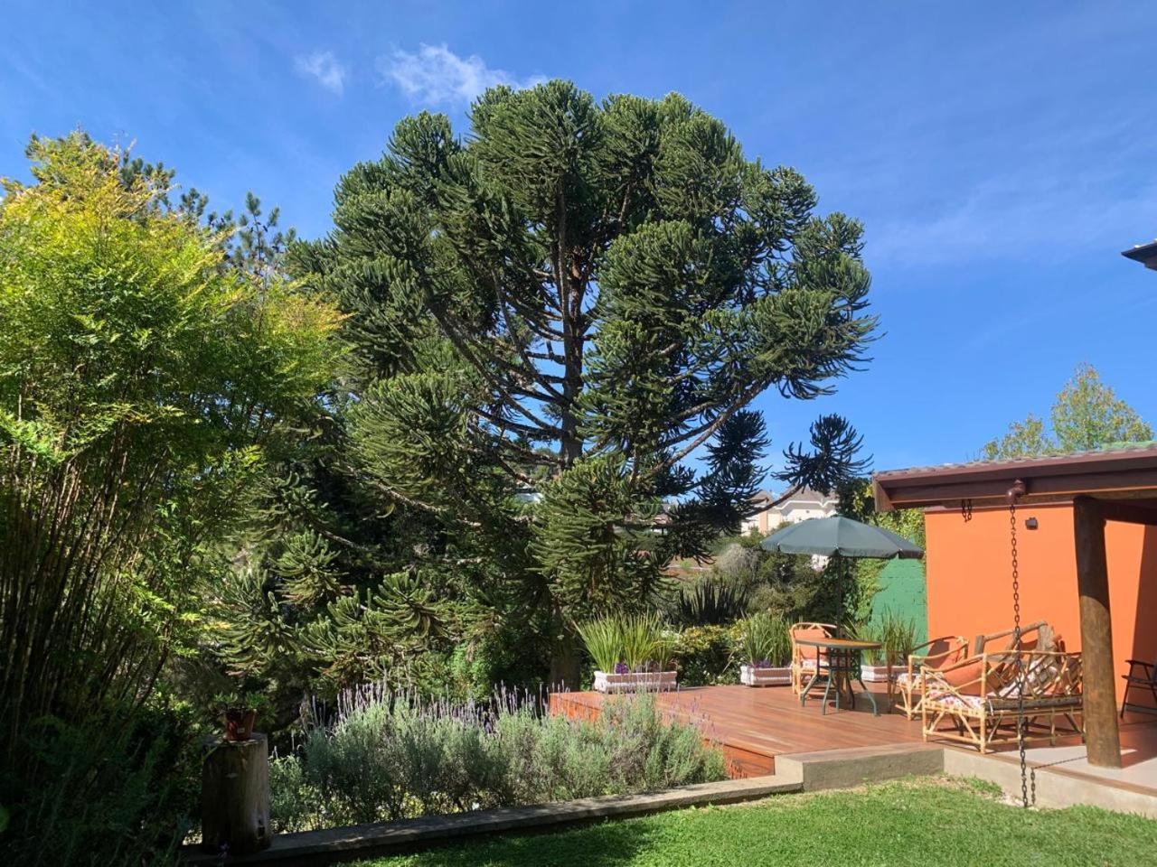 Linda Casa! Aconchegante E Com Otima Localizacao Villa Campos do Jordão Eksteriør billede